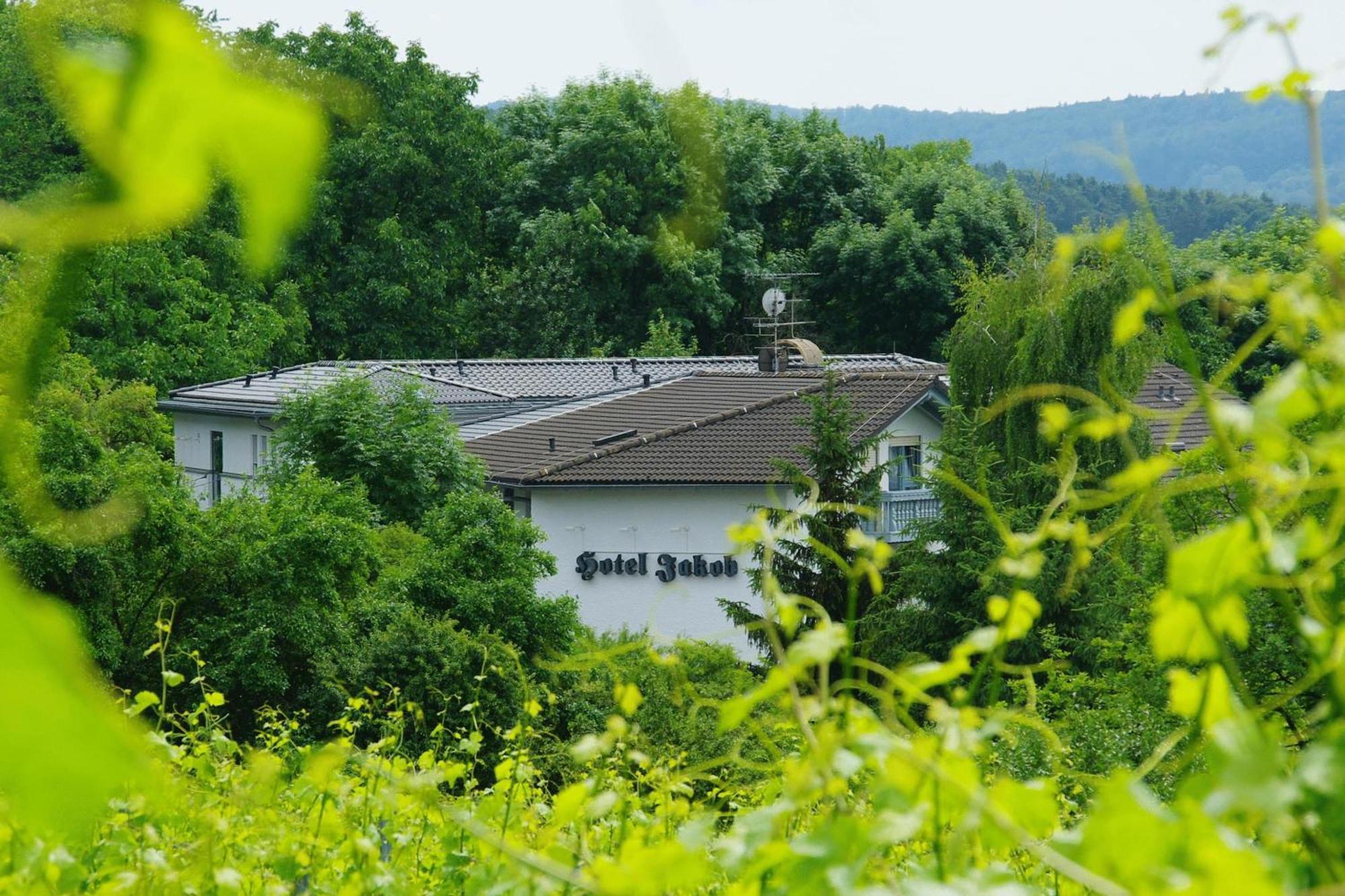 雅各布酒店 Groß-Umstadt 外观 照片